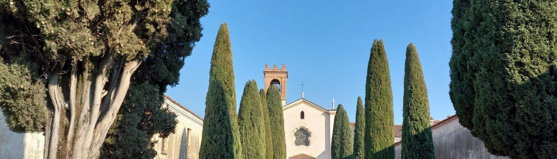 Abbazia Olivetana di San Nicola